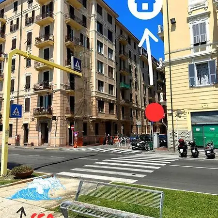 Ah Celine * Savona